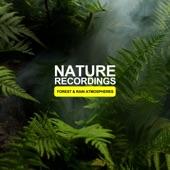Nature Recordings - Forest & Rain Atmospheres - EP artwork