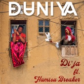 Duniya (feat. Hamisu Breaker) artwork
