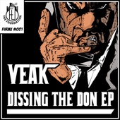 Dissin the Don artwork