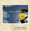 A Place Without Noise - Wayne Gratz