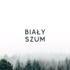 Biały Szum