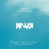 Zimcerla - After the Storm