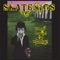 Beers, Steers and Queers - Skatenigs lyrics