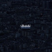 Habibi artwork