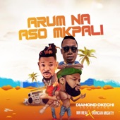 Arum Na Aso Mkpali (feat. Mr Real & Duncan Mighty) artwork