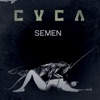 Semen, 2017