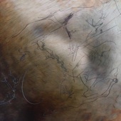 Ruth in the Bardo - Untitled (Trans Life in Philadelphia)