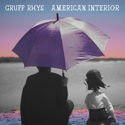 AMERICAN INTERIOR cover art