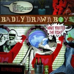 Badly Drawn Boy - All Possibilities