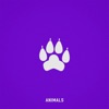 Animals - Single, 2021