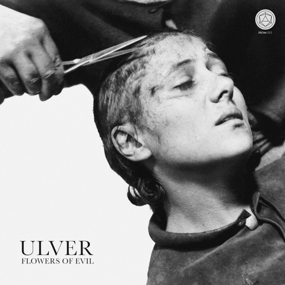Cover artwork for Little Boy