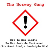 Dit Is Een Liedje En Dat Gaat Je Irriteren (Irritant Liedje Hardstyle Mix) artwork