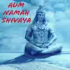 Aum Namah Shivaya (Lord Shiva Chants) album lyrics, reviews, download