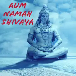 Aum Namah Shivaya (Lord Shiva Chants) by Veeramani Kannan album reviews, ratings, credits