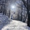 La luna sul monte - Felice D'Oria lyrics