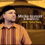 Micke Bjorklof & Blue Strip - Jungle Cat