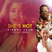 She's Hot (feat. T-Jo Zenny) artwork