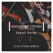 Barber: Adagio for Strings (Symphonic Version) artwork