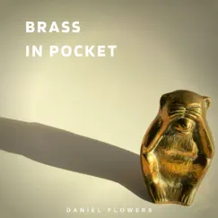 Brass in Pocket (Arr. for Guitar) - Single by Daniel Flowers album reviews, ratings, credits