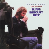 King Biscuit Boy - I'm Just a Lonely Guy