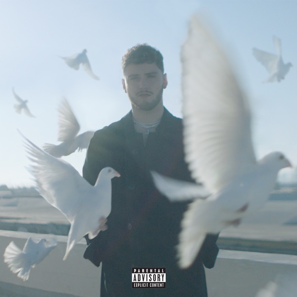 Bazzi mit Paradise