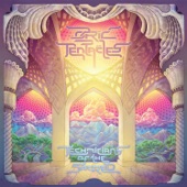 Ozric Tentacles - Rubbing Shoulders with the Absolute