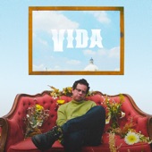 Vida artwork