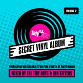 Secret Vinyl Album, Vol. 2 (DJ MIX) artwork