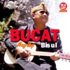 Bucat Bisul - Single