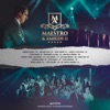 Maestro e Amigos, Vol. 2 (Ao Vivo)