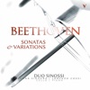 Duo Sinossi - 12 Variations on "See the Conqu'ring Hero Comes", WoO 45 (After Handel): Var. 10, Allegro