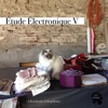 Etude Electronique V - A French Way of Deep House