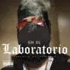 En El Laboratorio - Single album lyrics, reviews, download