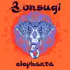 Stream & download Elephanta - Single