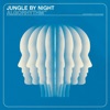 Jungle By Night - Multi Beam