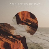 Ambientes de Paz artwork