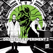 Das Heise Experiment 2 artwork
