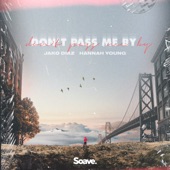 Don't Pass Me By artwork