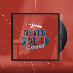 Never Give Up (Cover) - Single