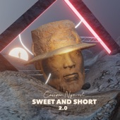 Sweet And Short 2.0 artwork