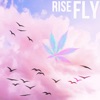 Fly - Single