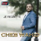 Je regrette artwork