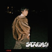 Strides artwork