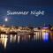 Summer Night Beaches artwork