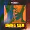 Diwofie Asem - Fox Beatz lyrics