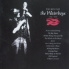 The Waterboys - The Whole of the Moon artwork