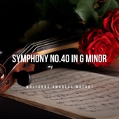 Mozart: Symphony No.40 in G minor (1st movement) artwork