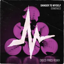 Danger to Myself (Disco Fries Remix) Song Lyrics