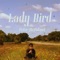 Lady Bird - Peter McPoland lyrics