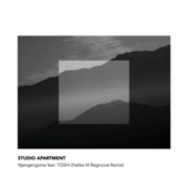 Njengengoma (Hallex M Regrooved Mix) [feat. TOSHI] artwork